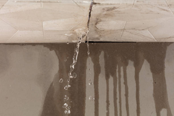 Professional Water Damage Repair technician working in Lummi Island, WA